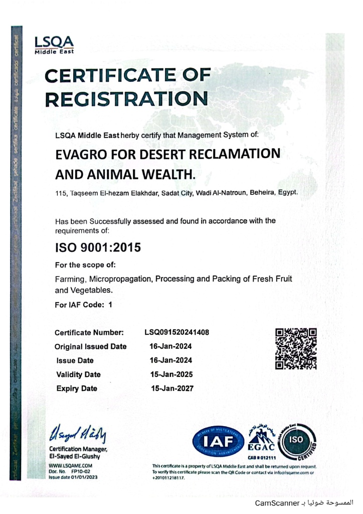 ISO9001-2015_page-0001